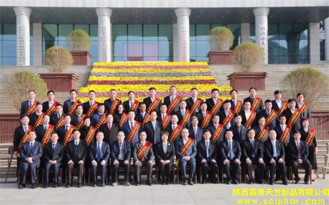 陜西森弗被評(píng)為“商洛市優(yōu)秀民營企業(yè)”，董事長金新康榮獲“商洛市優(yōu)秀民營企業(yè)家”稱號(hào)