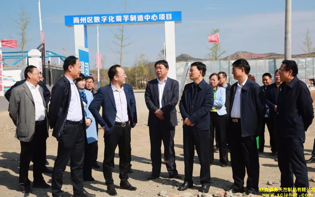 商洛市委副書記、市長(zhǎng)鄭光照檢查商州區(qū)菊芋制造中心項(xiàng)目工作