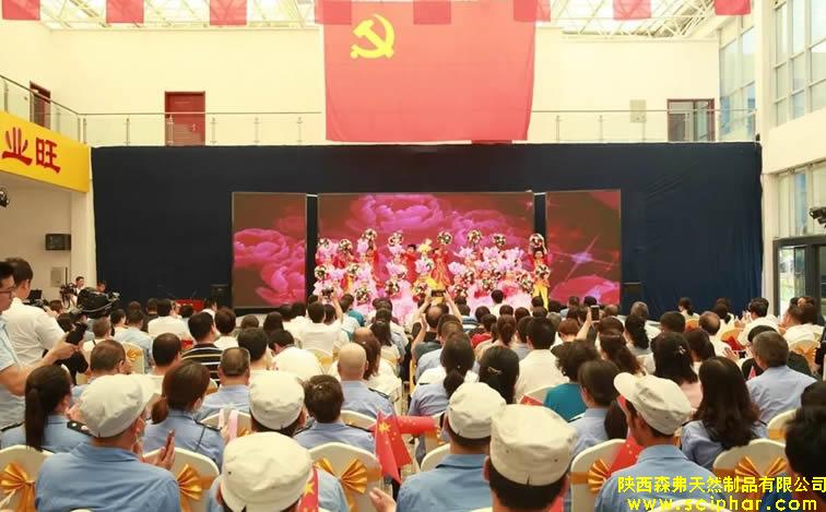 商州非公經(jīng)濟(jì)組織和社會(huì)組織黨建工作觀摩推進(jìn)暨三星級黨組織命名表彰大會(huì)在森弗紅色會(huì)客廳舉行