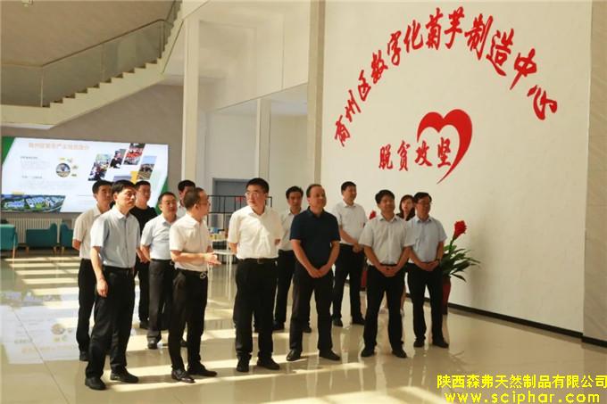 省委常委、常務(wù)副省長(zhǎng)梁桂蒞臨森弗公司調(diào)研